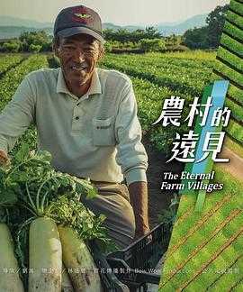 农村的远见