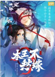 本王不愁嫁