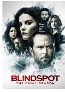 盲点第五季