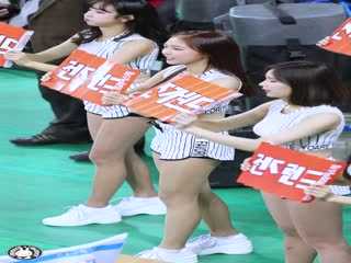 综合美女视频442