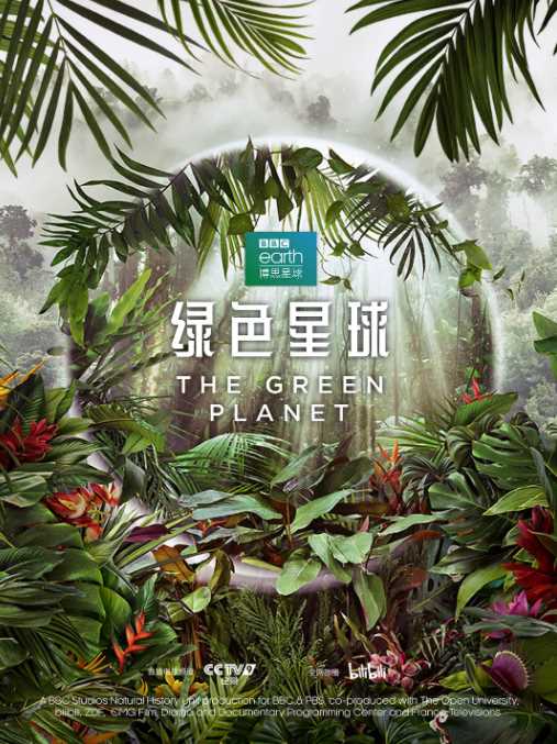 绿色星球