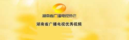 湖南省广播电视优秀视频(2013)
