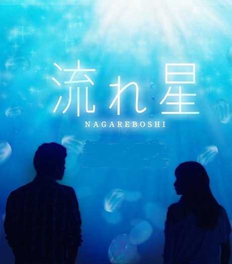 流星（2010）