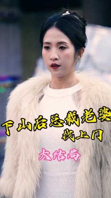 下山后总裁老婆找上门