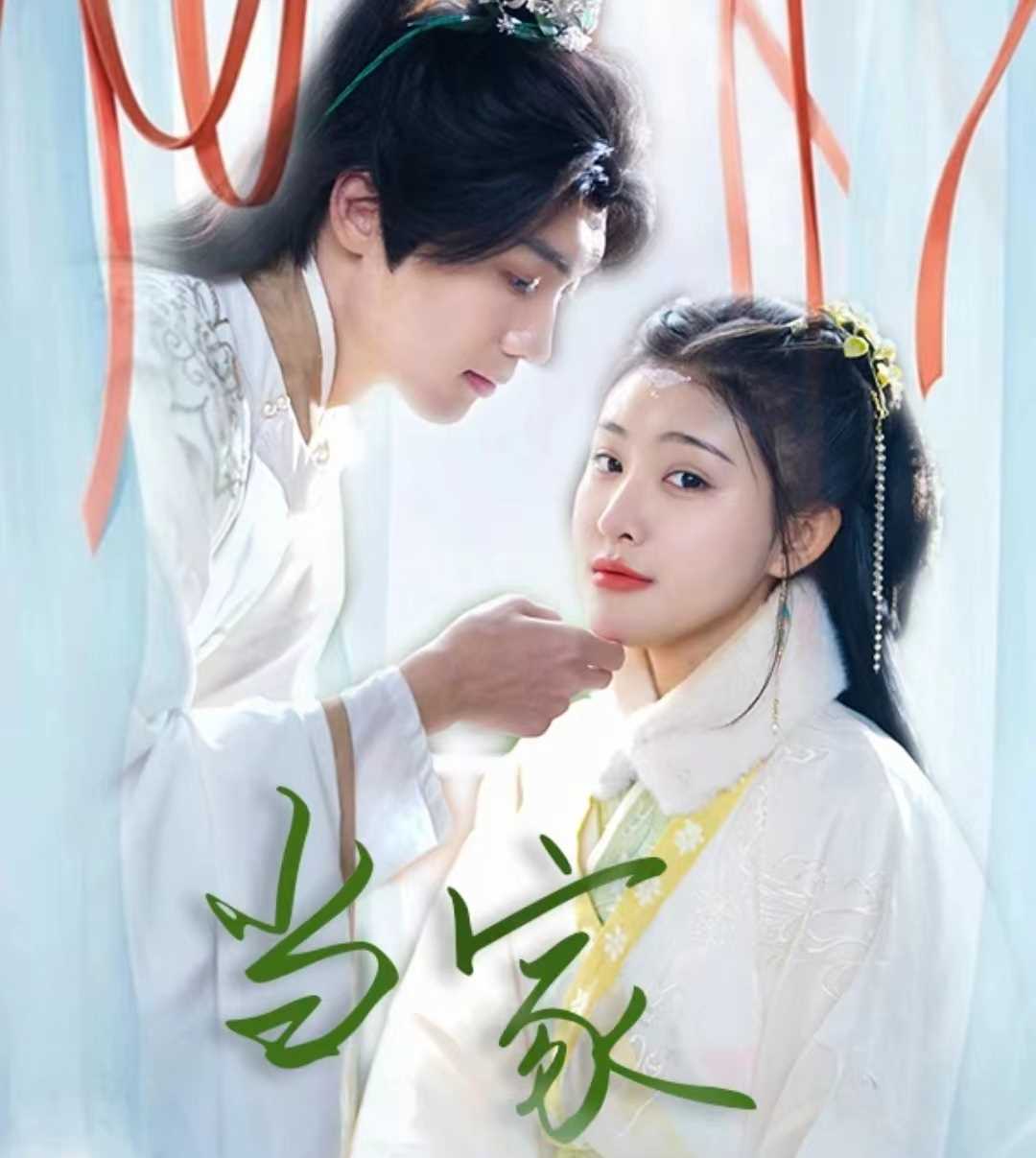 傻子王爷娇宠妃当家