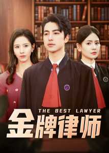 金牌律师