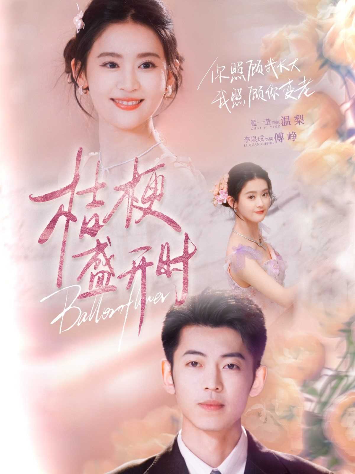 桔梗盛开时（她的小桔梗）