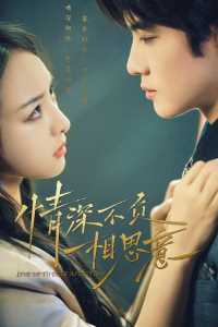 穿到八零家属院老公又红温啦