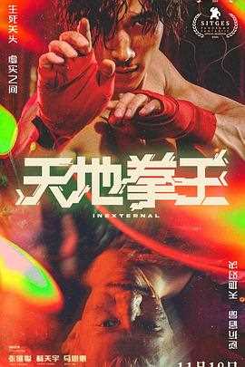 天地拳王粤语