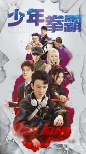 少年拳霸