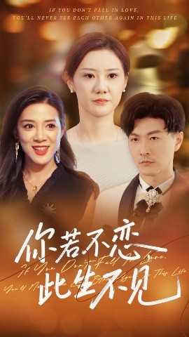 你若不恋此生不见