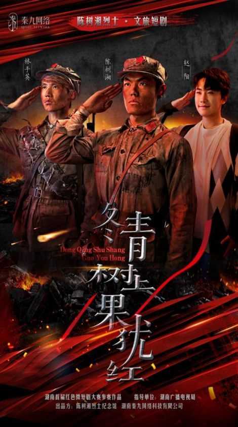 冬青树上果犹红