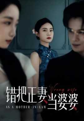 错把正妻当婆婆