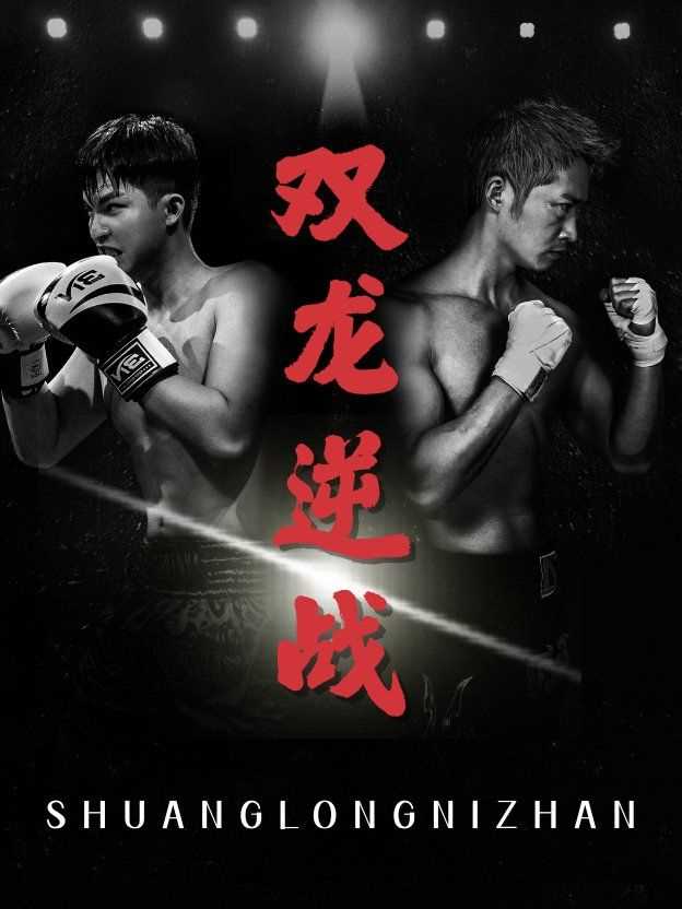 双龙逆战（拳王之父子双龙）