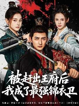 被赶出王府后我成了最强锦衣卫