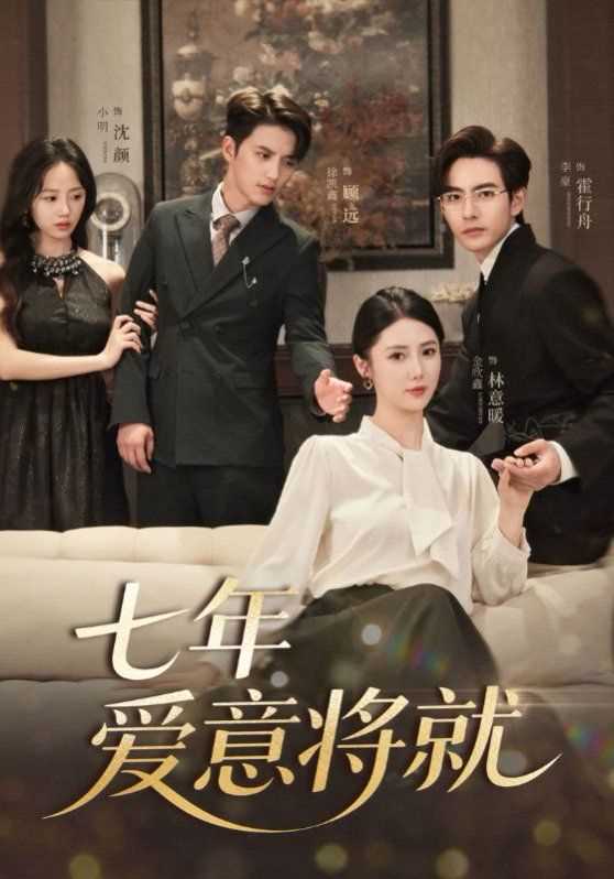 七年爱意将就