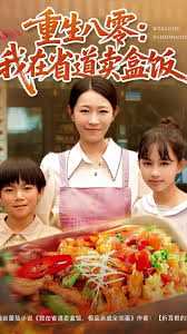 重生八零我在省道卖盒饭