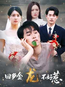 回乡金龙不好惹