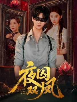 夜囚双凤