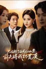 只因抢了白月光的机票前夫将我扔荒漠