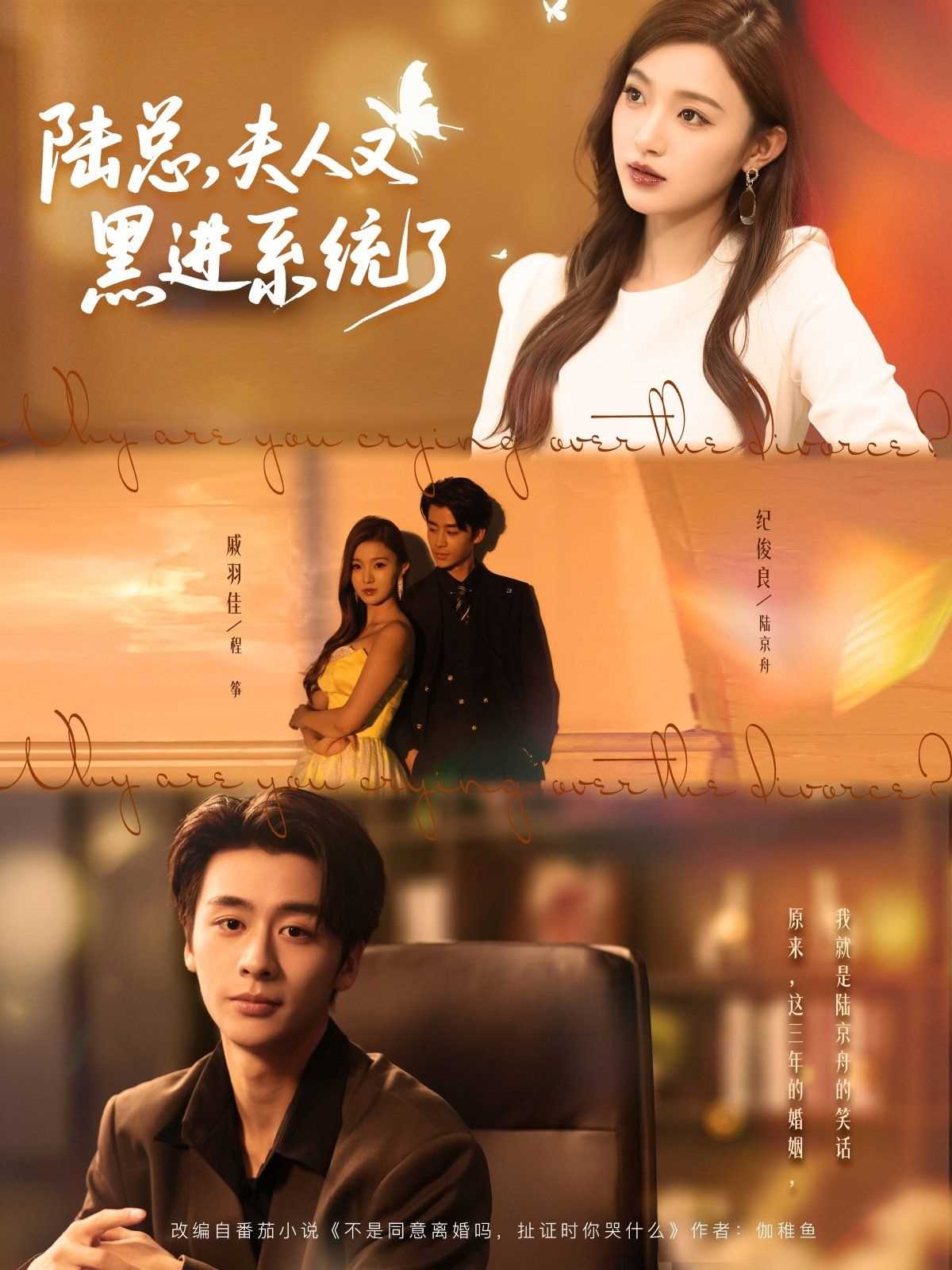 陆总夫人又黑进系统了