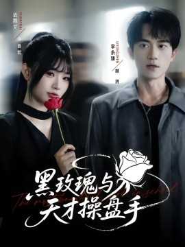 黑玫瑰与天才操盘手