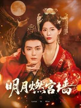 明月燃宫墙