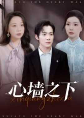 心墙之下