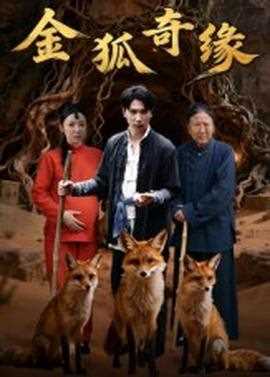 金狐奇缘