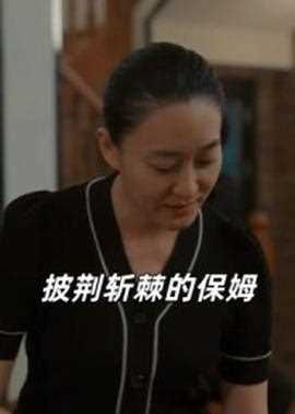 披荆斩棘的保姆