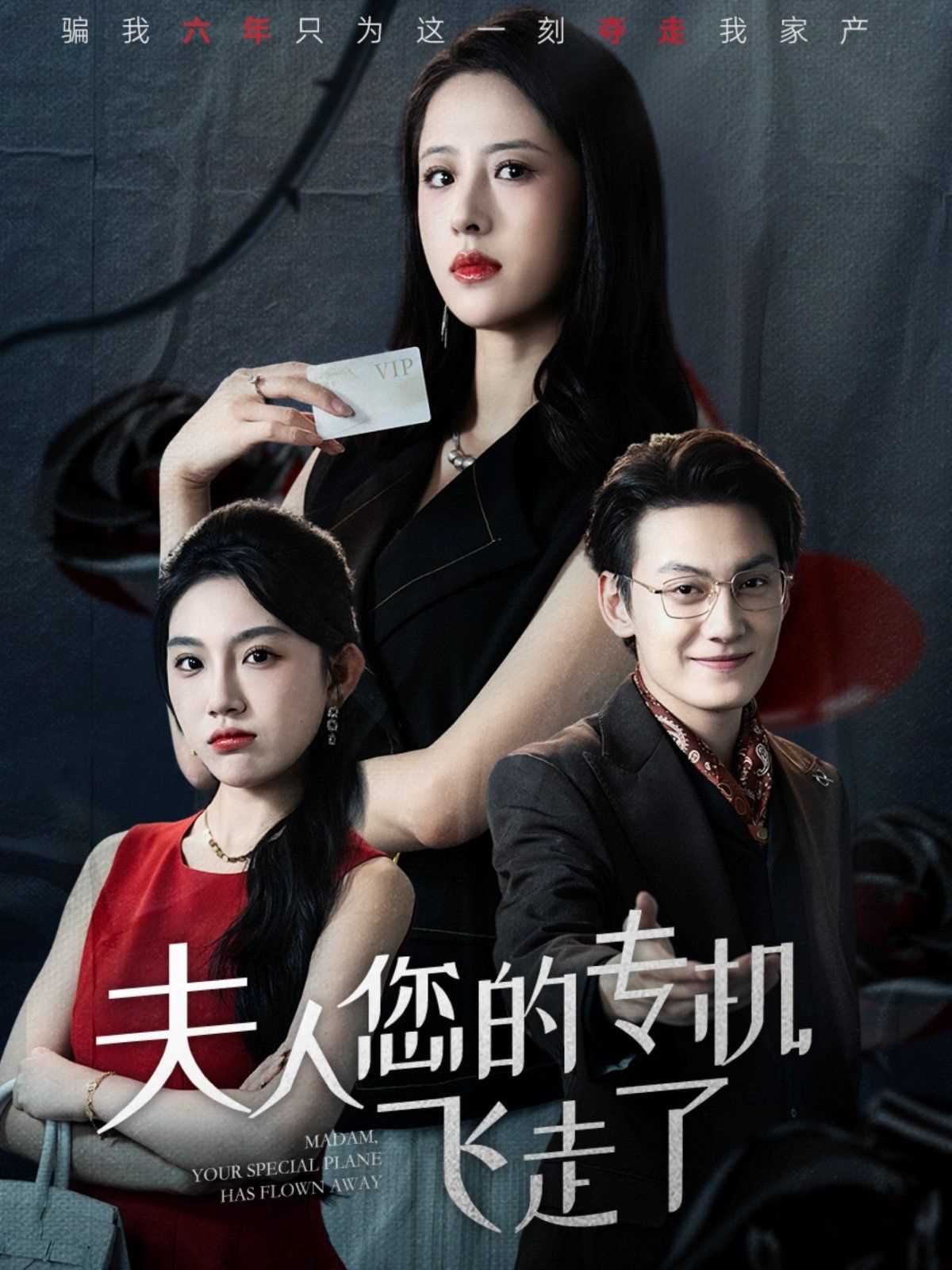 夫人您的专机飞走了