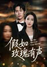 假如玫瑰有声