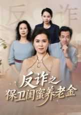 姐妹的正义（反诈之保卫闺蜜养老金）