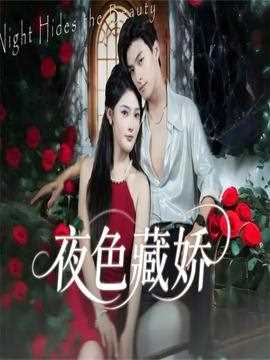 夜色藏娇