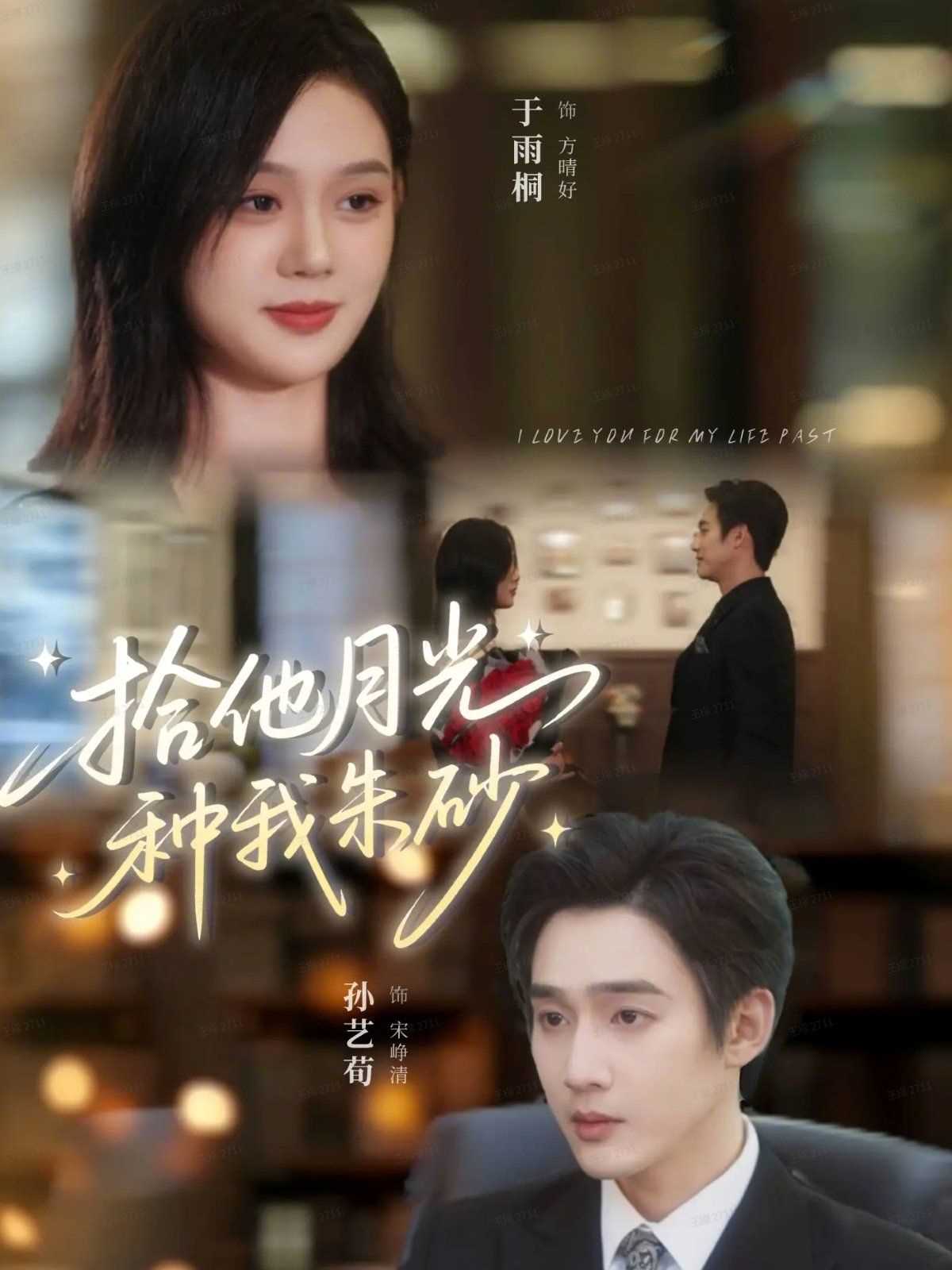 拾他月光种我朱砂