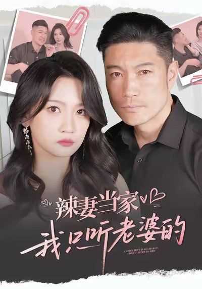 辣妻当家，我只听老婆的