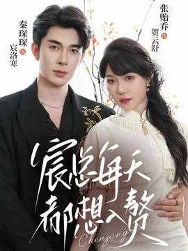 宸总每天都想入赘